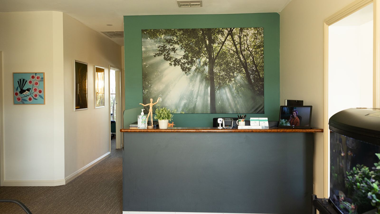The clinic reception with its forest mural